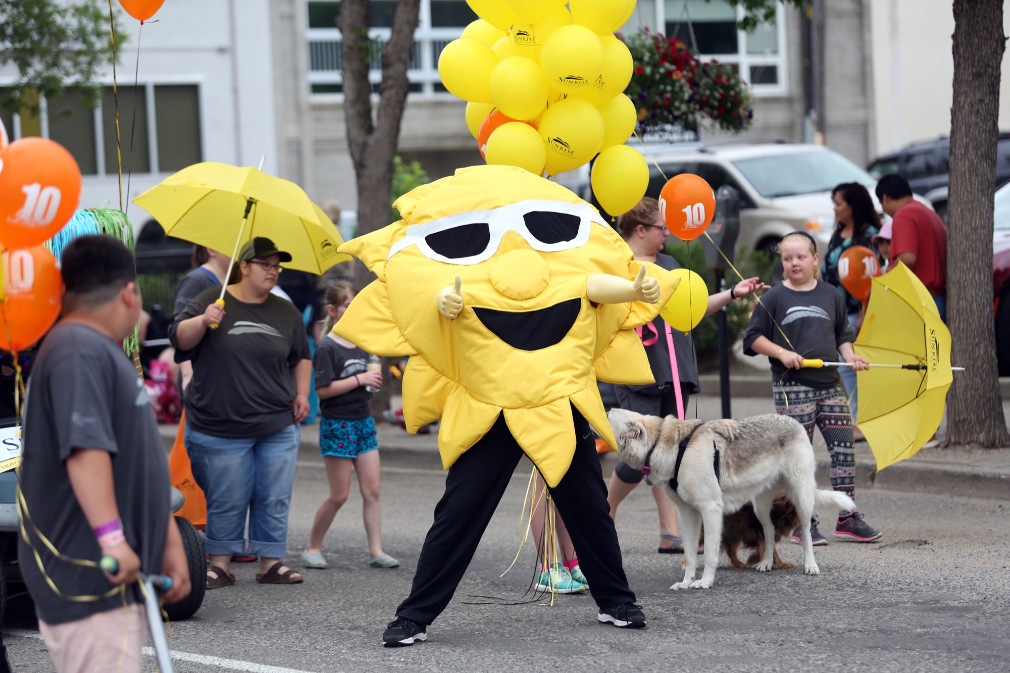 The Brandon Sun on Twitter are getting ready for the 67th Travellers Day Parade