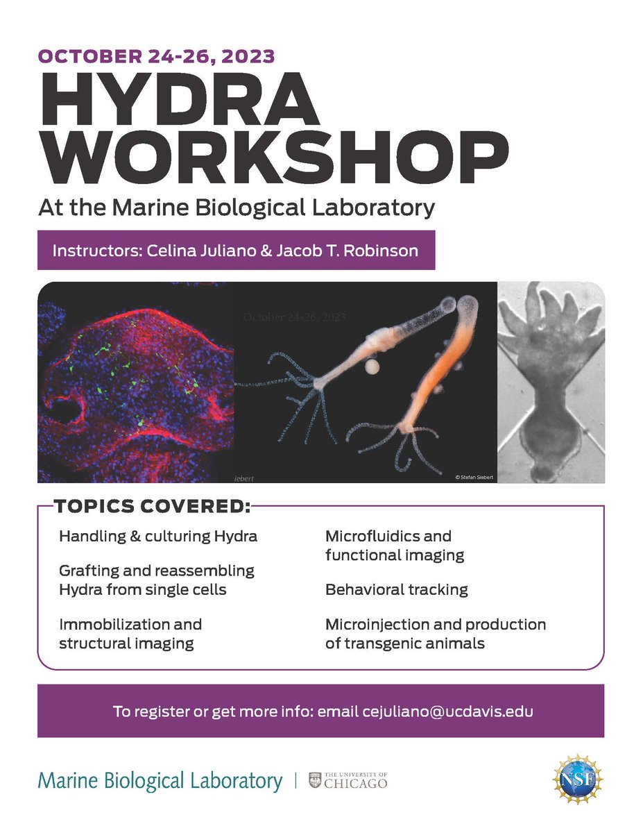 Upcoming hydra workshop at the Marine Biological Laboratory: