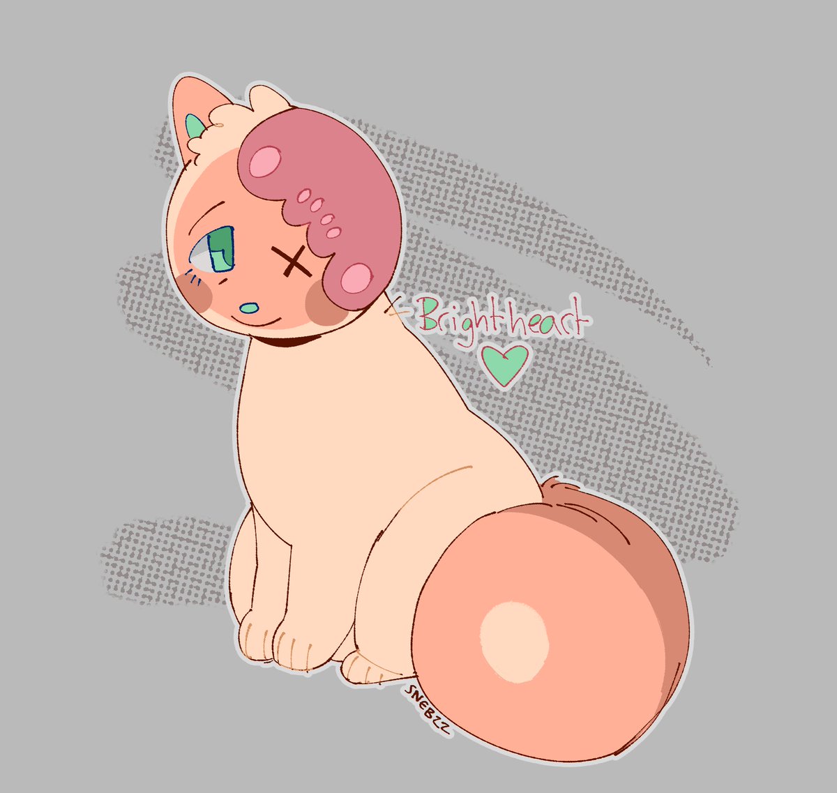 Snebzz's tweet photo. squishes her in my pocket.. brightheart <3
#warriorcats https://t.co/DYLzFmu9lu