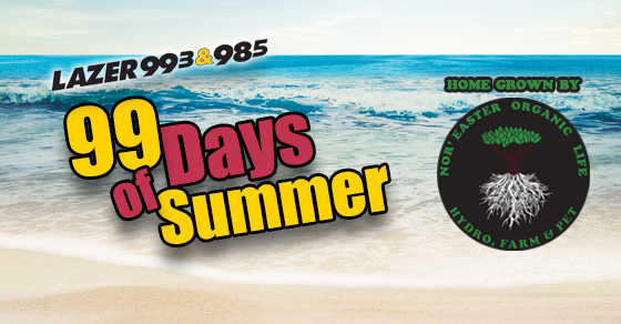It's the 99 Days Of Summer, home grown by @noreasterorganiclife, now through Labor Day Weekend!

We’re giving away a $25 Gift Card to the Hangar Pub &amp; Grill every weekday! If you wanna win, just enter at Lazer993.com and then listen to Leah Rantz each afternoon!