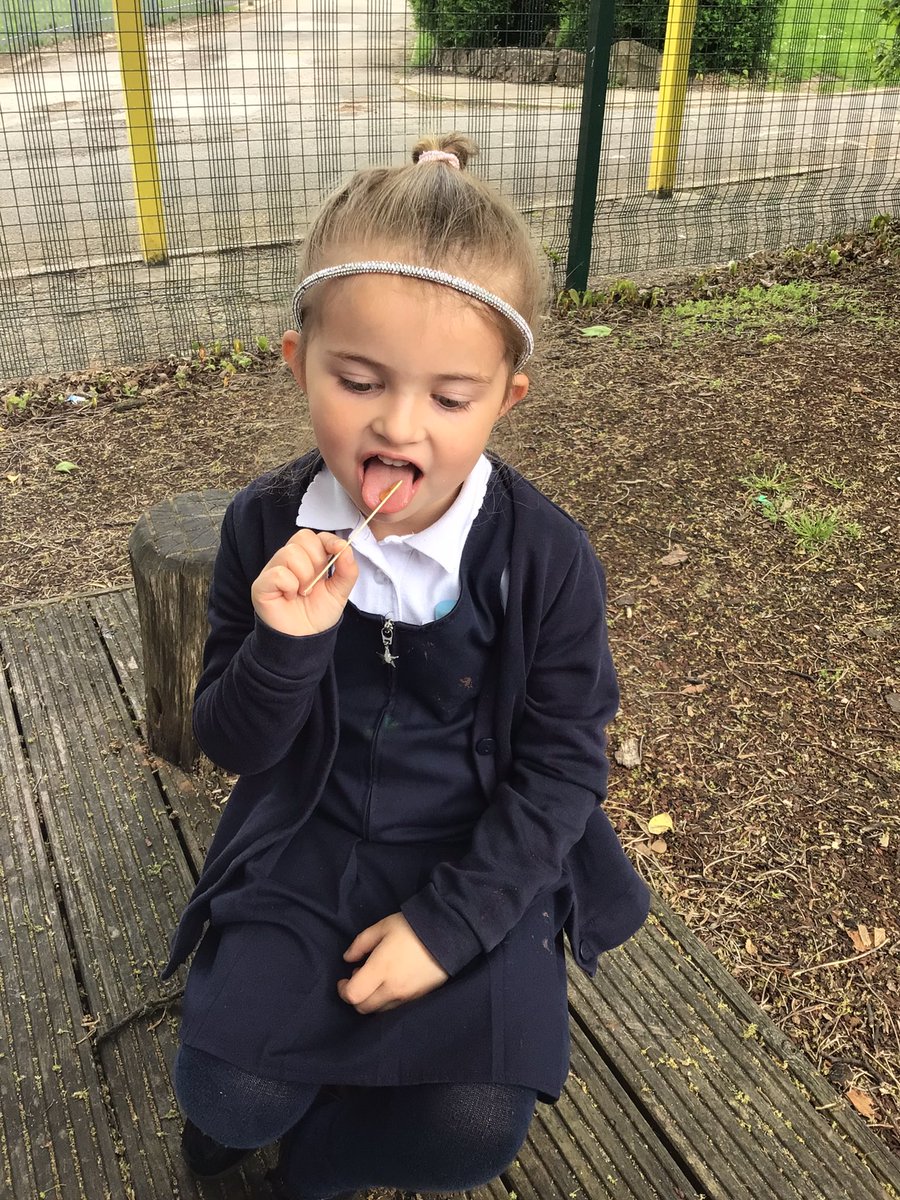 YR Lilac Class-Beighton NI tweet media