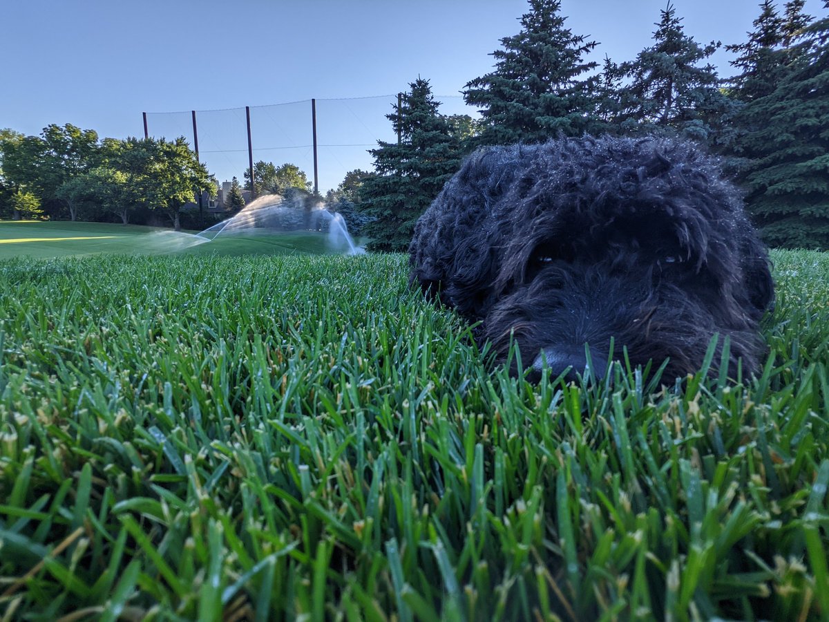 #TodayInOntario
Duncan's morning audit