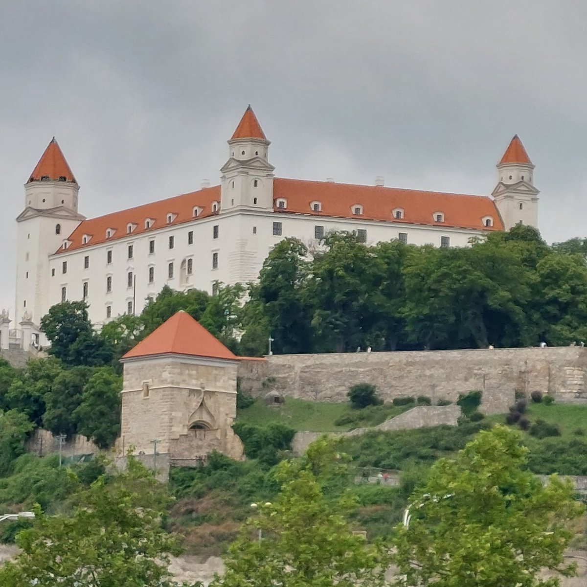 Robert T tweet media