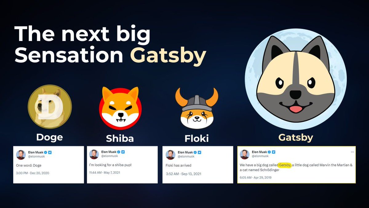 Gatsby | Elon’s Biggest Dog tweet media