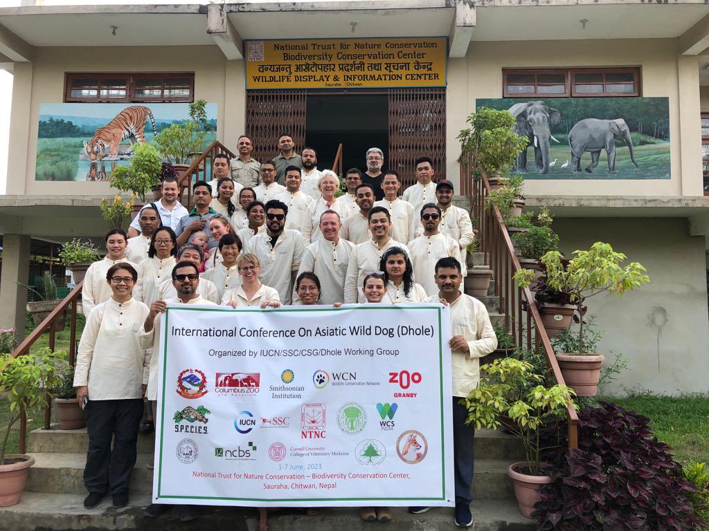 MollieMills96's tweet photo. Grateful to have attended and presented my PhD work at the 2nd International Dhole Conference, in Chitwan National Park Nepal. Met the most inspiring group of dhole researchers, who are working hard to save this endangered species 🦊 @RHULGeography @ZSLScience @London_NERC_DTP https://t.co/S32MoWHmon