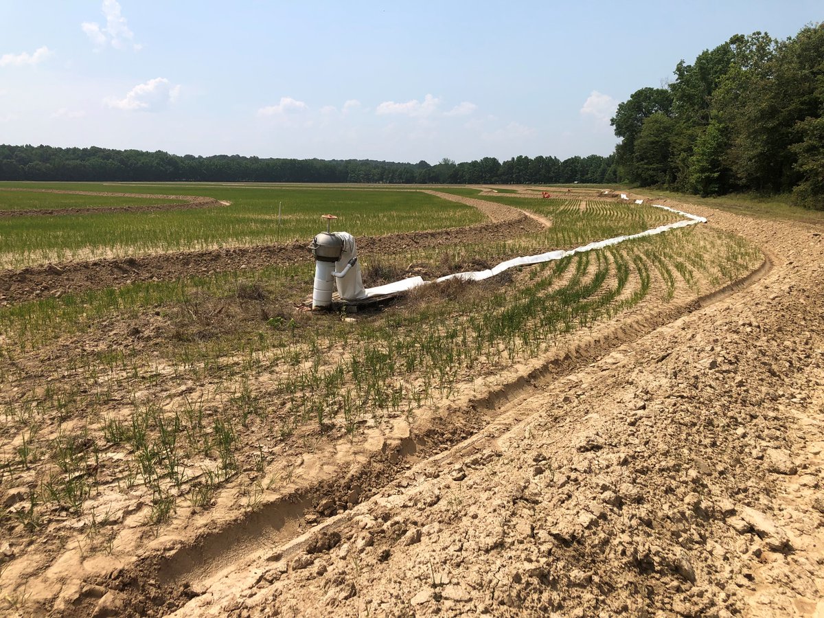Glaub Farm Management, LLC tweet media