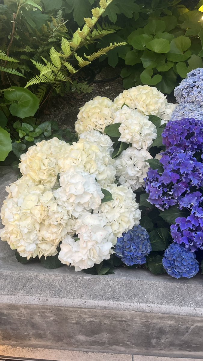 ʀɪɴᴀ tweet media