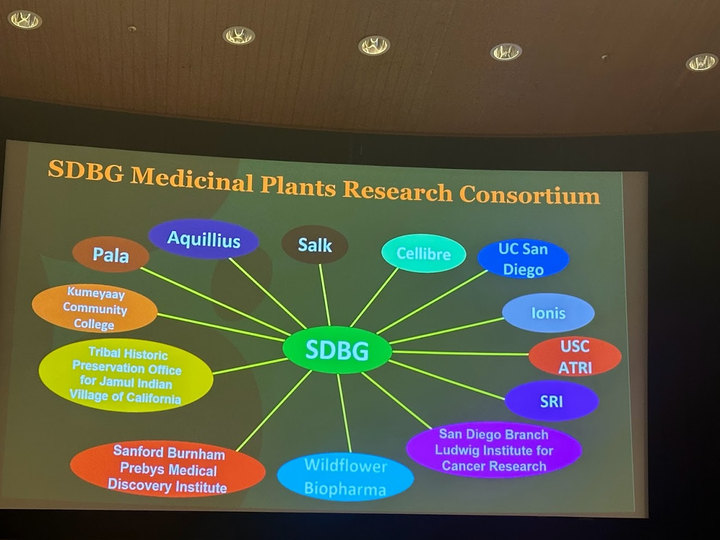 Sensorium Therapeutics (@sensoriumtx) on Twitter photo Over <a href="/SofEthnobiology/">Society of Ethnobiology</a> #SEBSOE2023 conference, we just heard a fantastic presentation by <a href="/DrCBNaman/">Benjamin Naman</a> from the <a href="/SDBGarden/">San Diego Botanic Garden</a>, which has started a truly impressive consortium on medicinal plants. Over <a href="/SofEthnobiology/">Society of Ethnobiology</a> #SEBSOE2023 conference, we just heard a fantastic presentation by <a href="/DrCBNaman/">Benjamin Naman</a> from the <a href="/SDBGarden/">San Diego Botanic Garden</a>, which has started a truly impressive consortium on medicinal plants.