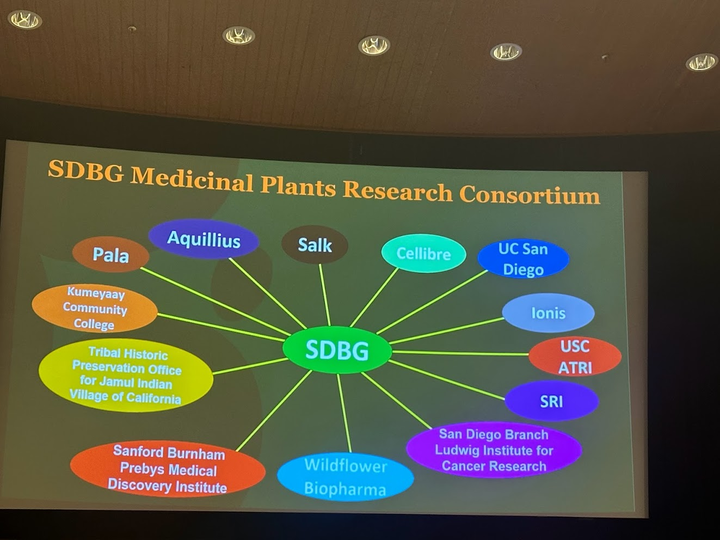 Over @SofEthnobiology #SEBSOE2023 conference, we just heard a fantastic presentation by @DrCBNaman from the @SDBGarden, which has started a truly impressive consortium on medicinal plants.