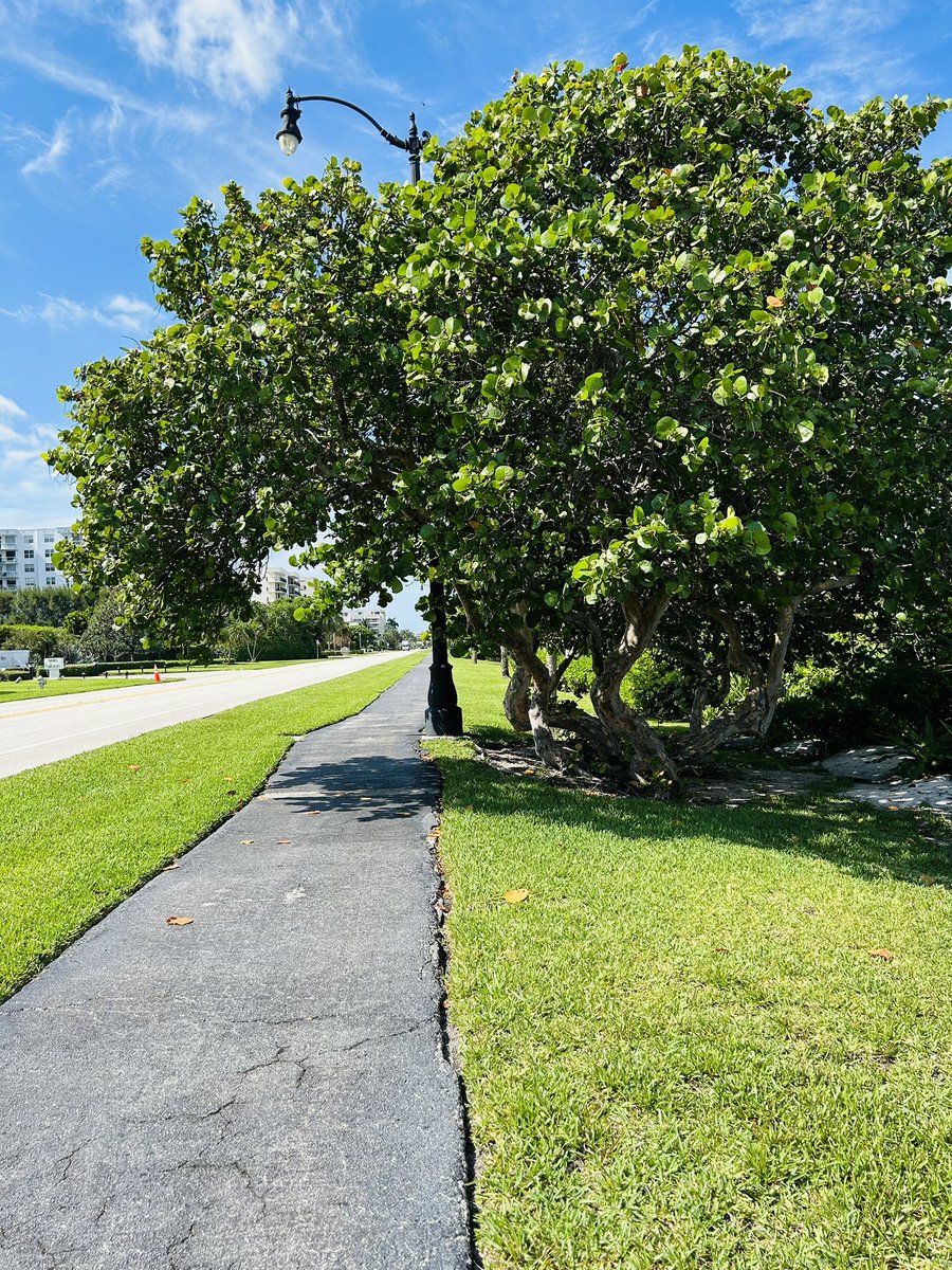 “He leadeth me he leadeth me by his own hands he leadeth me.” A beautiful 6 mile walk and a chance to be thankful.