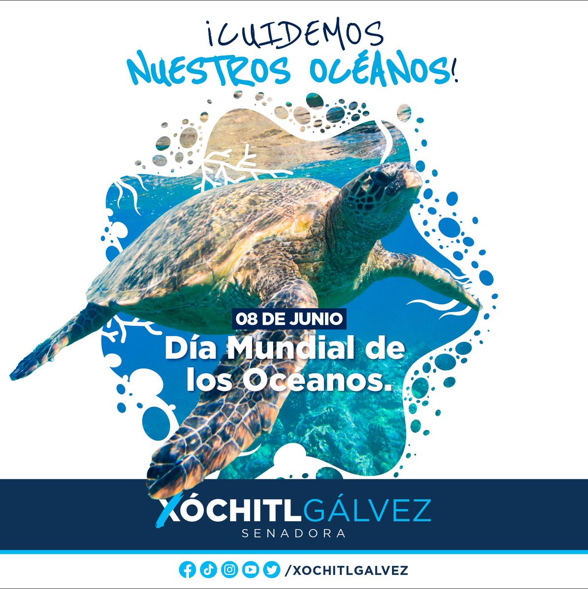 XochitlGalvez's tweet photo. Entre el 60 y el 80% de la contaminación en océanos viene de residuos plásticos.

No solo contamina costas, afecta a toda la vida marina. 🐟 

Urge hacer conciencia porque para 2050, nuestros océanos podrían tener más plástico que peces.

#DíaMundialDeLosOcéanos https://t.co/qlJkMUpAtq