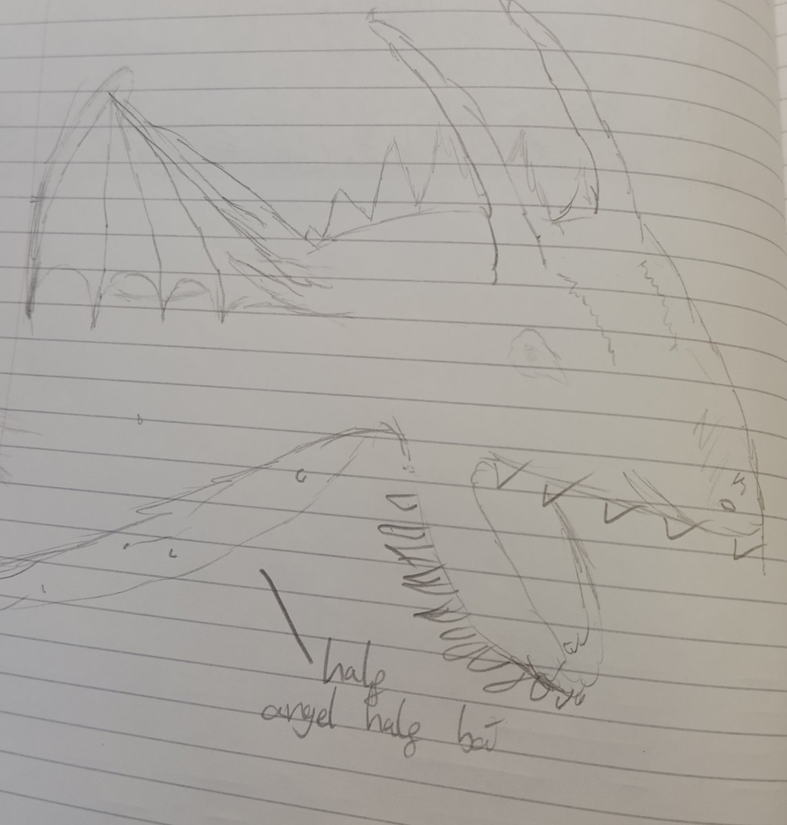 High Hazels Academy Y5 tweet media