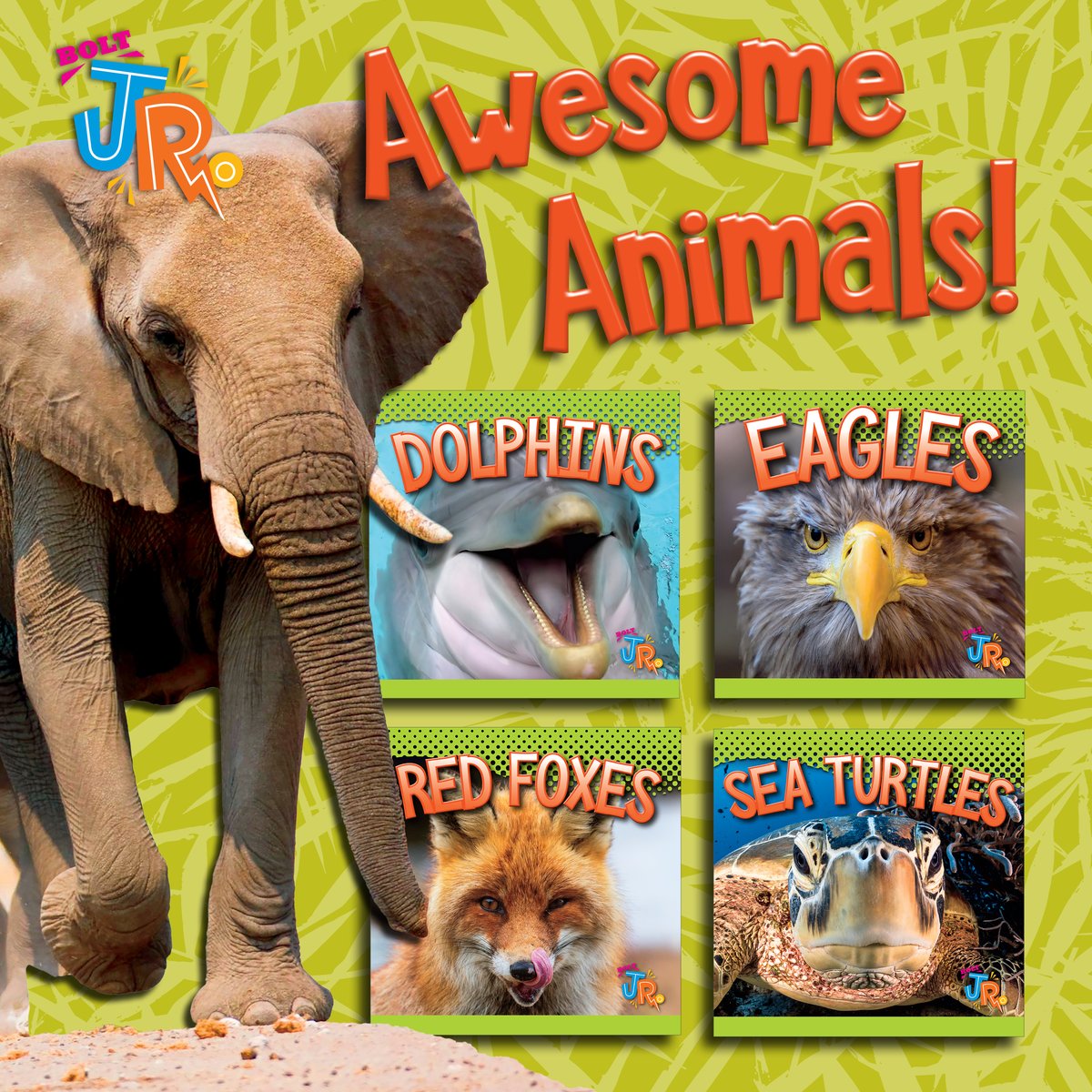 Share the exciting lives of awesome animals with your young readers with Bolt Jr.’s Awesome Animal Lives.

#animals #animalbooks #kidsnonfiction #readmore #BlackRabbitBooks