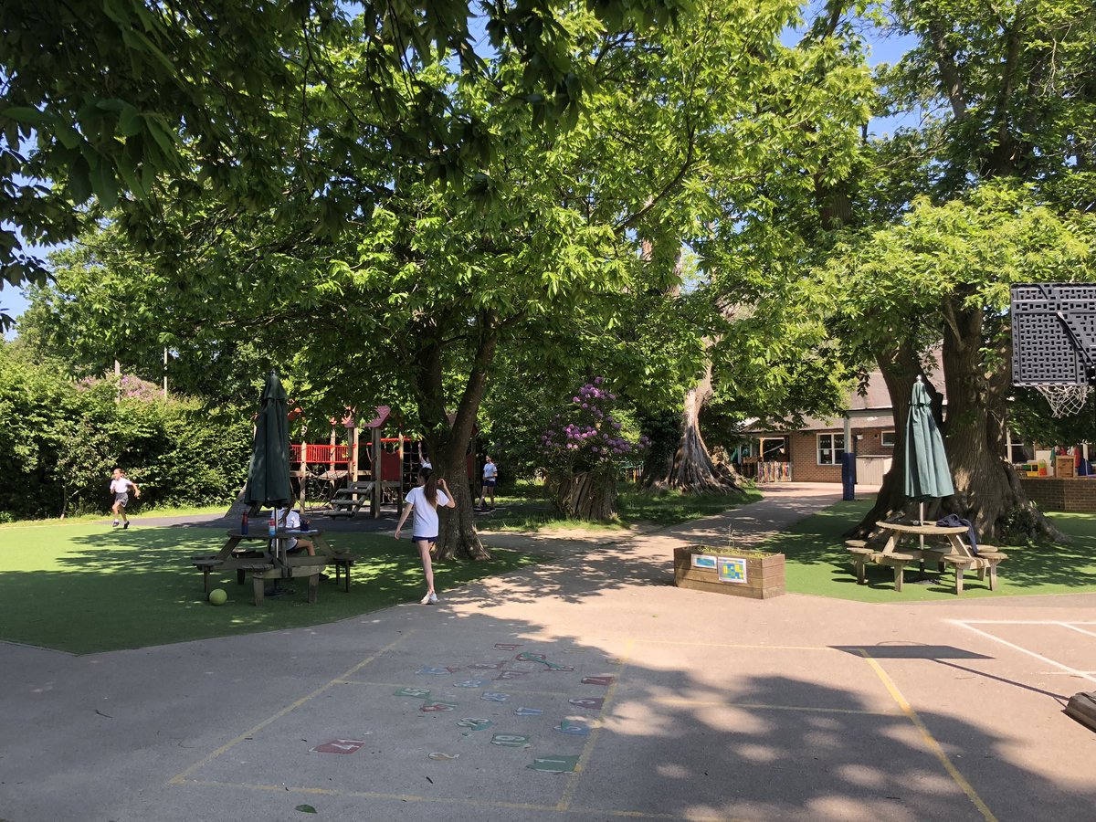 Felbridge Primary School tweet media