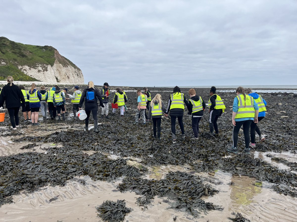 MNA_Year6's tweet photo. This afternoon we took part in a seashore safari activity. We hunted for lots of different creatures and some of us were brave enough to hold some of the wildlife! @morley_newlands https://t.co/lEIvGVz8Qu