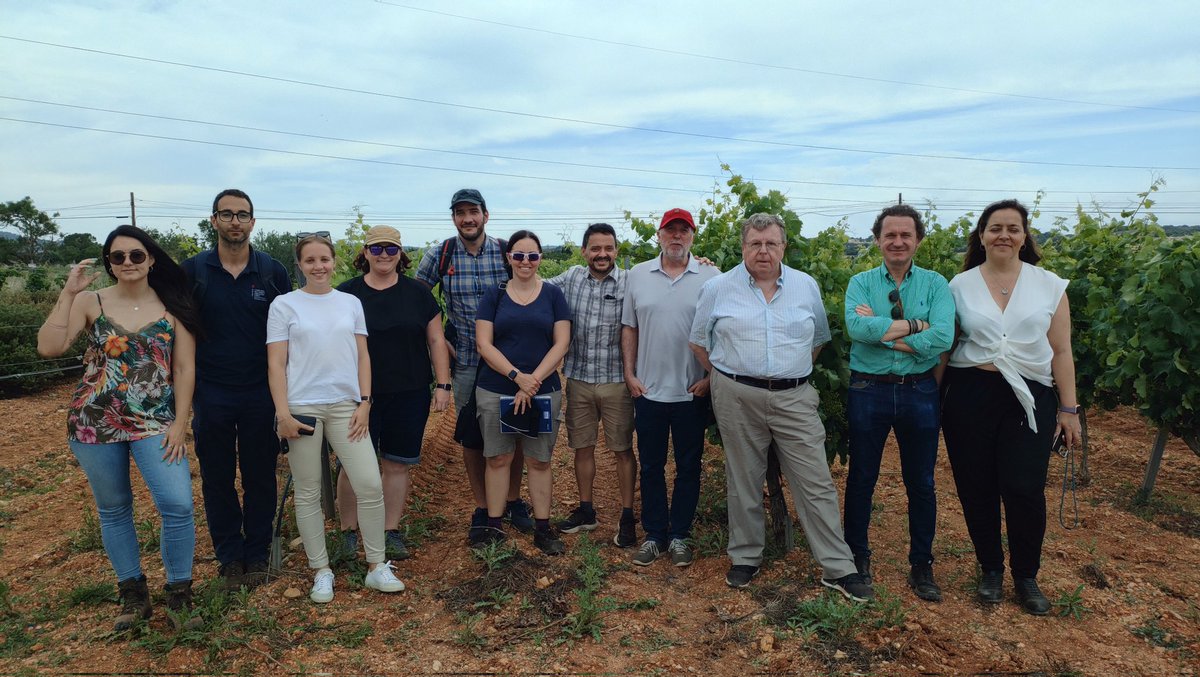 DiegoOlmo10's tweet photo. Happy today, sahring our acquired #Xylella kwnoledge in @AgriculturaGOIB with collegues from @QldApps (Australia and New Zealand), and @IAS_CSIC https://t.co/n4gxQsforT