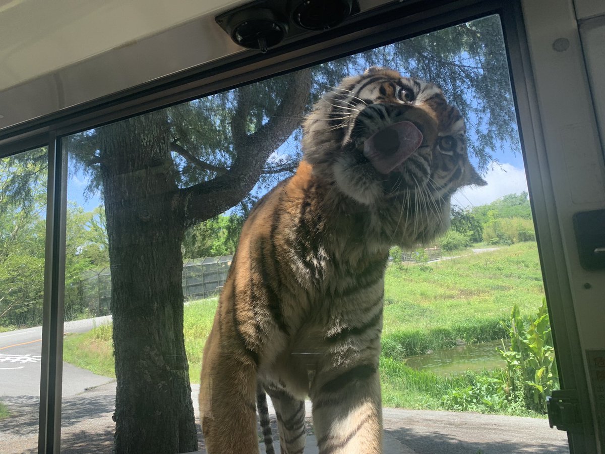 void_tkpon's tweet photo. 動物園好き。腐っても私は高等生物だと実感できるので。
#1日1ポジティブ https://t.co/NaijeKJHwD