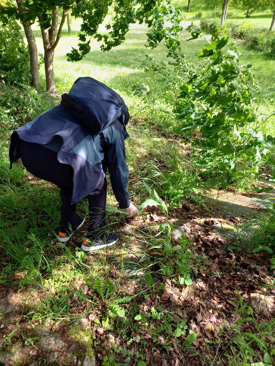 🌎 Marche Zéro Déchet 🌍

En mai nous avons organisé avec les équipes et residents du FO/FAM Le Clair Logis une marche avec ramassage des déchets.

Objectif être bien dans son corps et bien sur sa planète. 

Merci 🙏
#ecologie #zerodechet #marche #apas #sourire #sante #planète