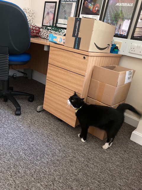 SuperSTEM_UK's tweet photo. #Lolathelabcat looks quite impressed by the piling boxes of goodies for #DLOpen23 !!
Join us in the Super Powered Microscopes zone to learn about #electronmicroscopy and atomic structures! @EPSRC @UKRI_News https://t.co/IrskirqPIH https://t.co/tw02pwi59L