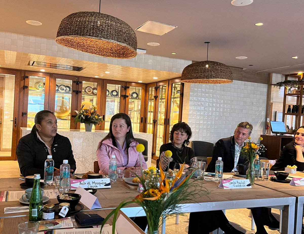 Así iniciamos la conmemoración de nuestros #15años 💙 compartiendo con algunos periodistas nuestra trayectoria y aprendizajes, de la voz de dos mujeres rurales, participantes de nuestros proyectos.

#FundacionAlpina15años transformando esperanzas en proyectos de vida 👩🏻‍🌾🌳✨