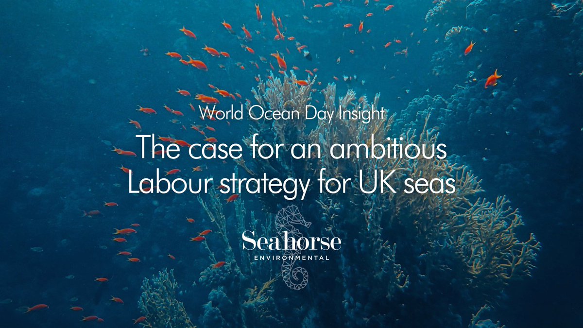 🌊Happy #WorldOceanDay!

🌹Our latest insight considers the opportunity for an innovative Labour ocean strategy to:

1️⃣ Respond to public demand for stronger ocean protection
2️⃣ Support Net Zero delivery
3️⃣ Unlock jobs around our coastline

Read below👇

seahorseenvironmental.co.uk/news-insights/…