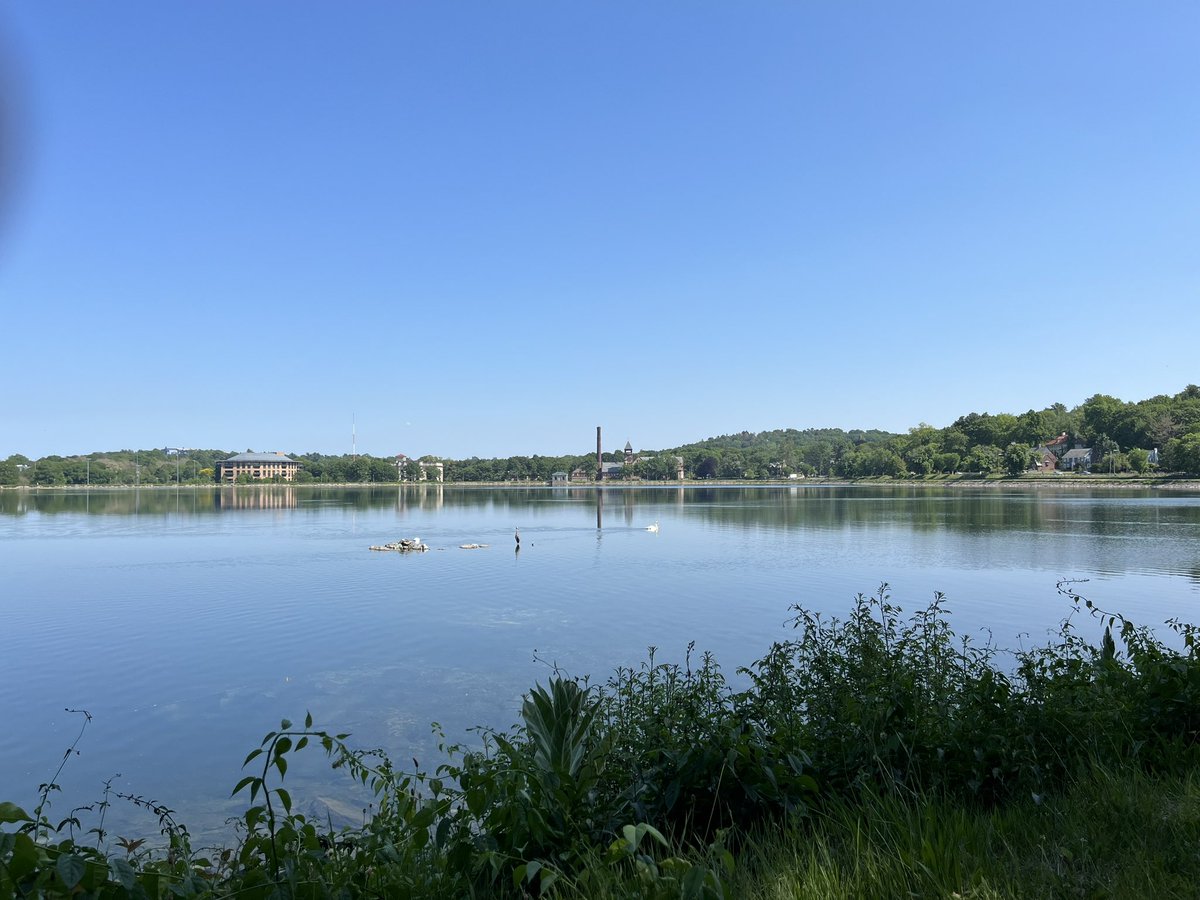 From: Logan tweet media