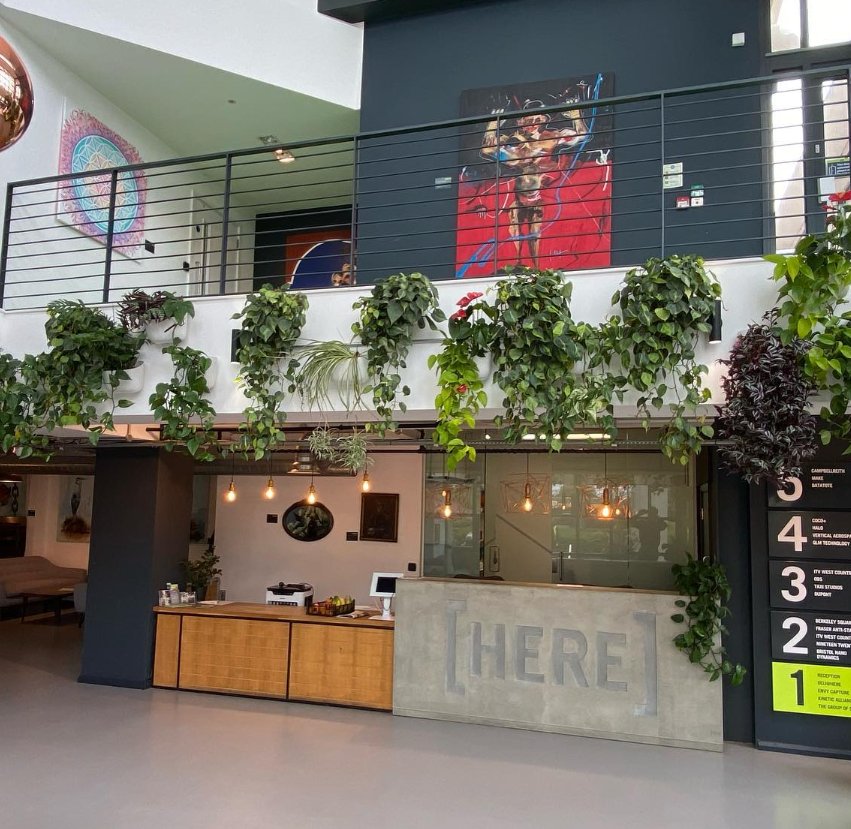 JustPlants's tweet photo. Installed back in September 2020, these plants have thrived; creating a beautiful reception feature. 

@wallygrowplanters eco pots are perfect for plant displays where space is tight, or if you just want to have some fun with a wall space. 

Swipe to see how they look today... https://t.co/gFCU7QyCl9