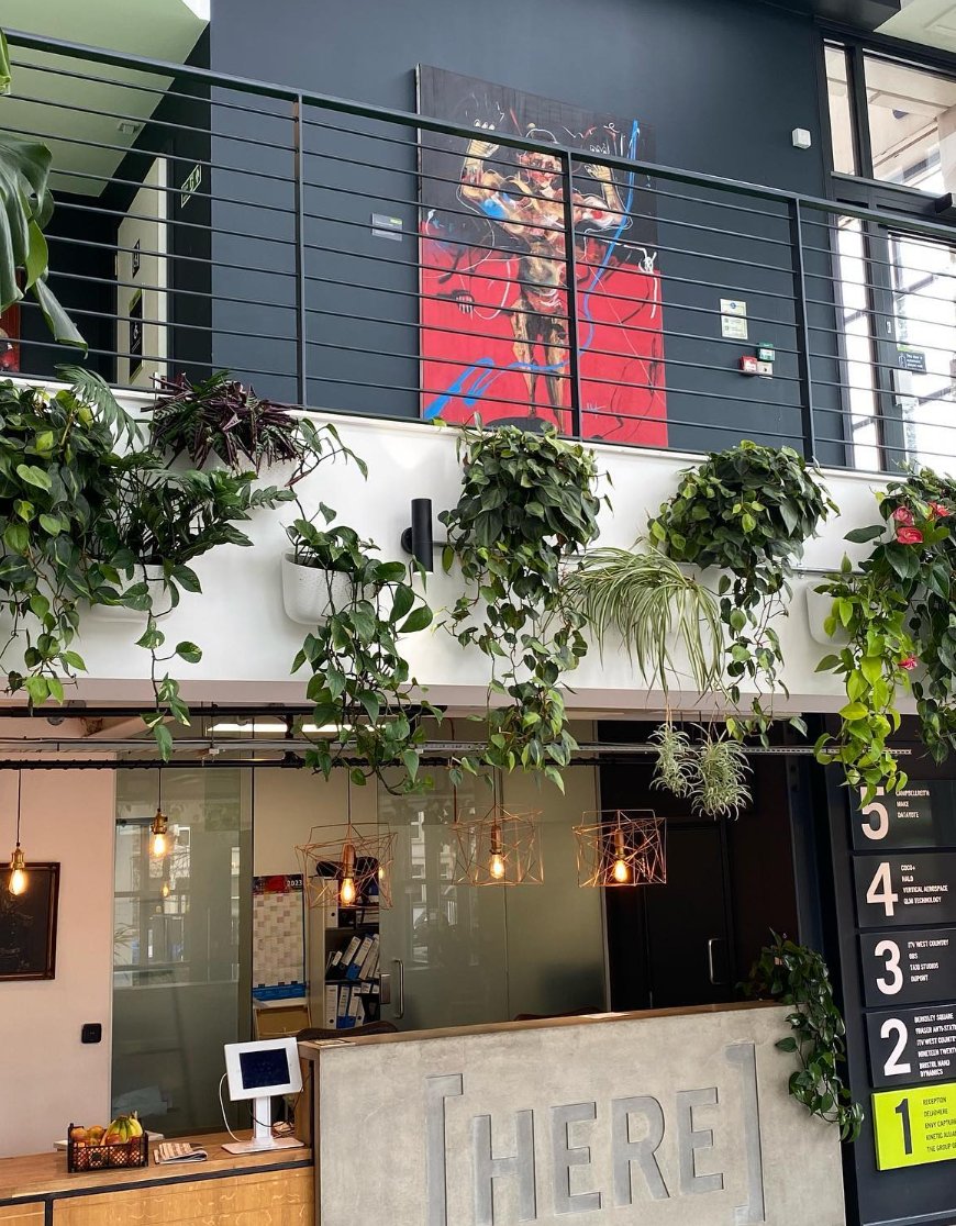 JustPlants's tweet photo. Installed back in September 2020, these plants have thrived; creating a beautiful reception feature. 

@wallygrowplanters eco pots are perfect for plant displays where space is tight, or if you just want to have some fun with a wall space. 

Swipe to see how they look today... https://t.co/gFCU7QyCl9