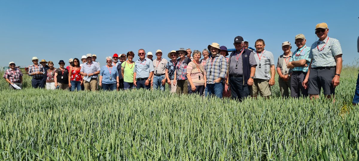 Fachkundiger Besuch aus der Heimat von <a href="/Stefan_Streng/">Stefan_Streng#plant_breeding</a>: der Verband für landwirtschaftliche Fachbildung in Bayern e.V., Kreisverband Uffenheim, hat sich heute über die Züchtungsforschung <a href="/JKI_Bund/">Julius Kühn-Institut</a> Standort #GroßLüsewitz informiert. Im Bild: Anpassung des Weizens an den Klimawandel