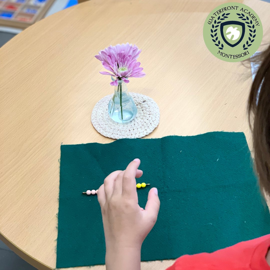 WaterfrontAcad's tweet image. Montessori primary students learn addition using bead bar material: hands-on exploration of quantity, place value, and mathematical concepts, fostering a concrete understanding of addition and building a strong foundation in arithmetic. #washingtondc #swdc #capriv  #montessori
