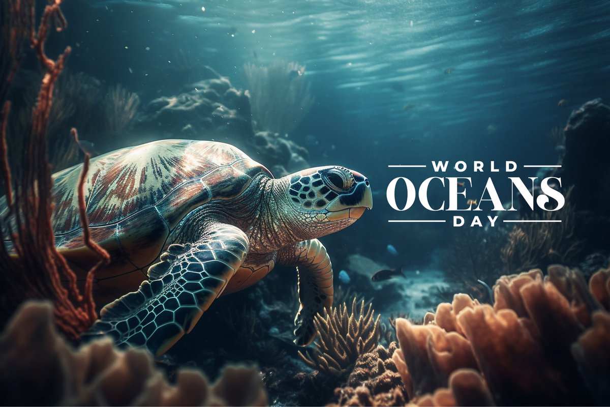 BlueHorizonSoln's tweet photo. Today we celebrate our one connected ocean, one connected blue planet.🌎

We help you to create waves of positive change for future generations. Dive in!!

#learn #lead #leavealegacy 
#SDG6 #WorldOceansDay #blueplanet #bluemind #bluehealthcoach #bluehealthcoaching #100daysofblue https://t.co/R3XR4M46DP