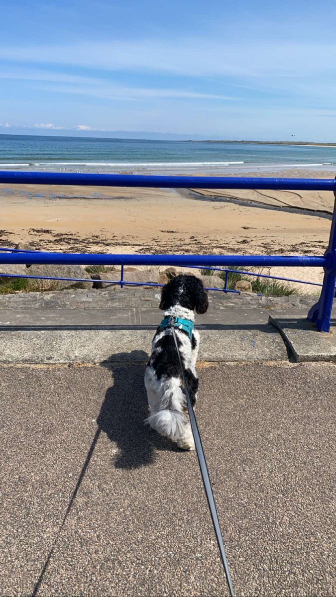 MrsMassonCPD's tweet photo. Enjoying the sunny days and having a nice break while awaiting news of my next step 🥰
#sunnydays #probationer #primaryteacher @Aberdeenshire https://t.co/VOD1hmVgm1