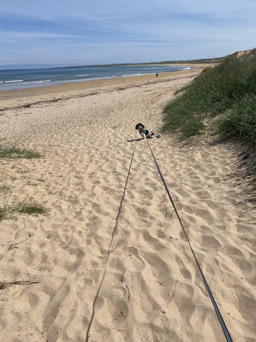 Enjoying the sunny days and having a nice break while awaiting news of my next step 🥰
#sunnydays #probationer #primaryteacher <a href="/Aberdeenshire/">Aberdeenshire Council</a>
