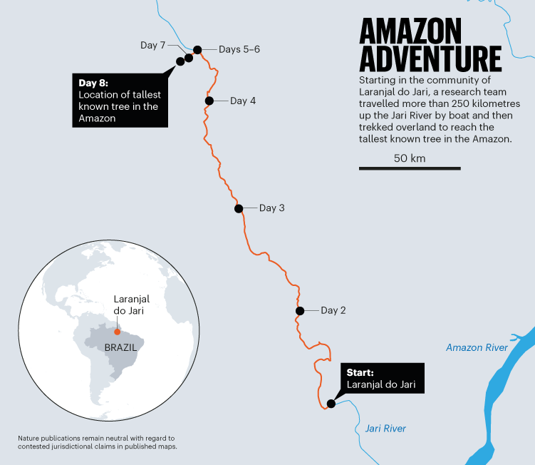 Nature's tweet photo. @EGorgens led a team on a journey 260 km upriver and then 20 km through dense, dangerous rainforest. Gorgens had been there before. In 2019, he had come within about 5 kilometers of the tallest tree and had to turn back. “It’s terrible. I cried a lot,” he says. https://t.co/4nx8FsBuRc