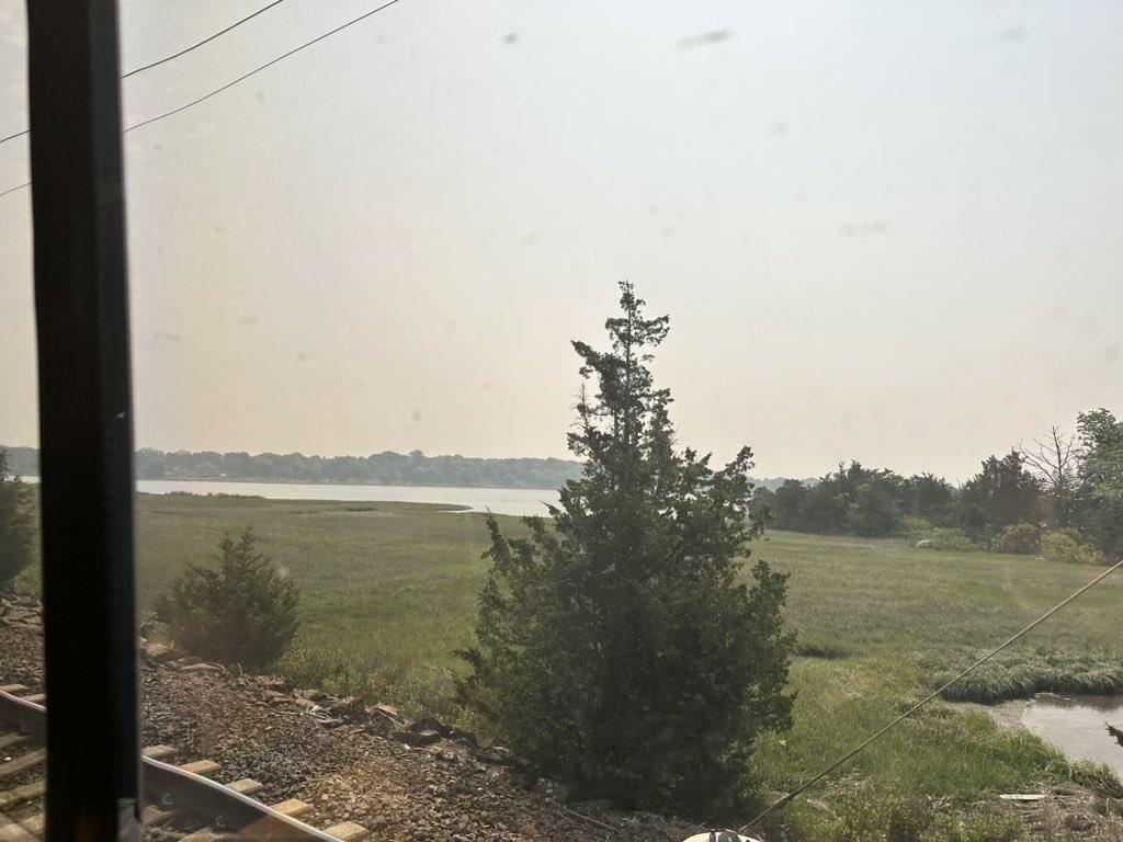 Tracy Brala tweet media