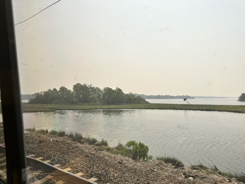 Tracy Brala tweet media