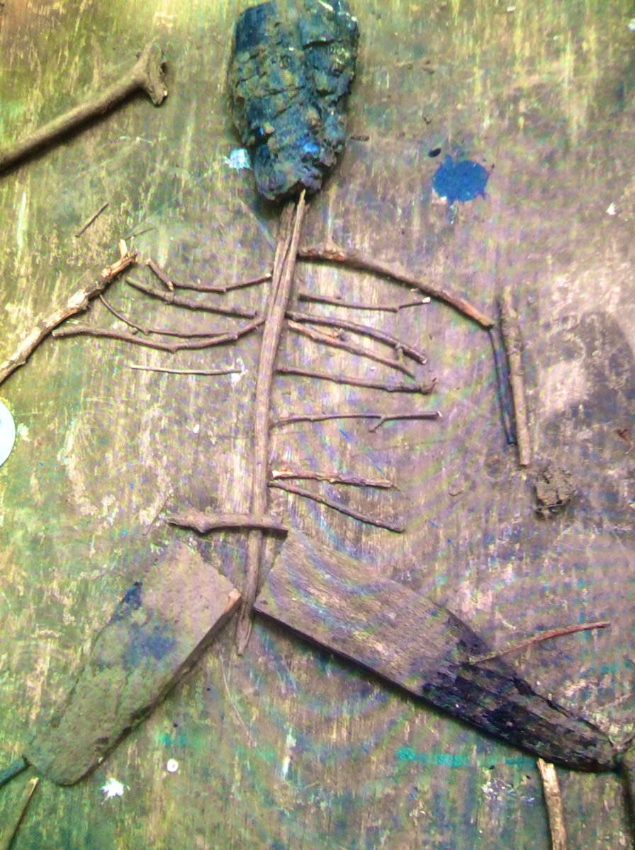 Hoyle Court Primary School tweet media