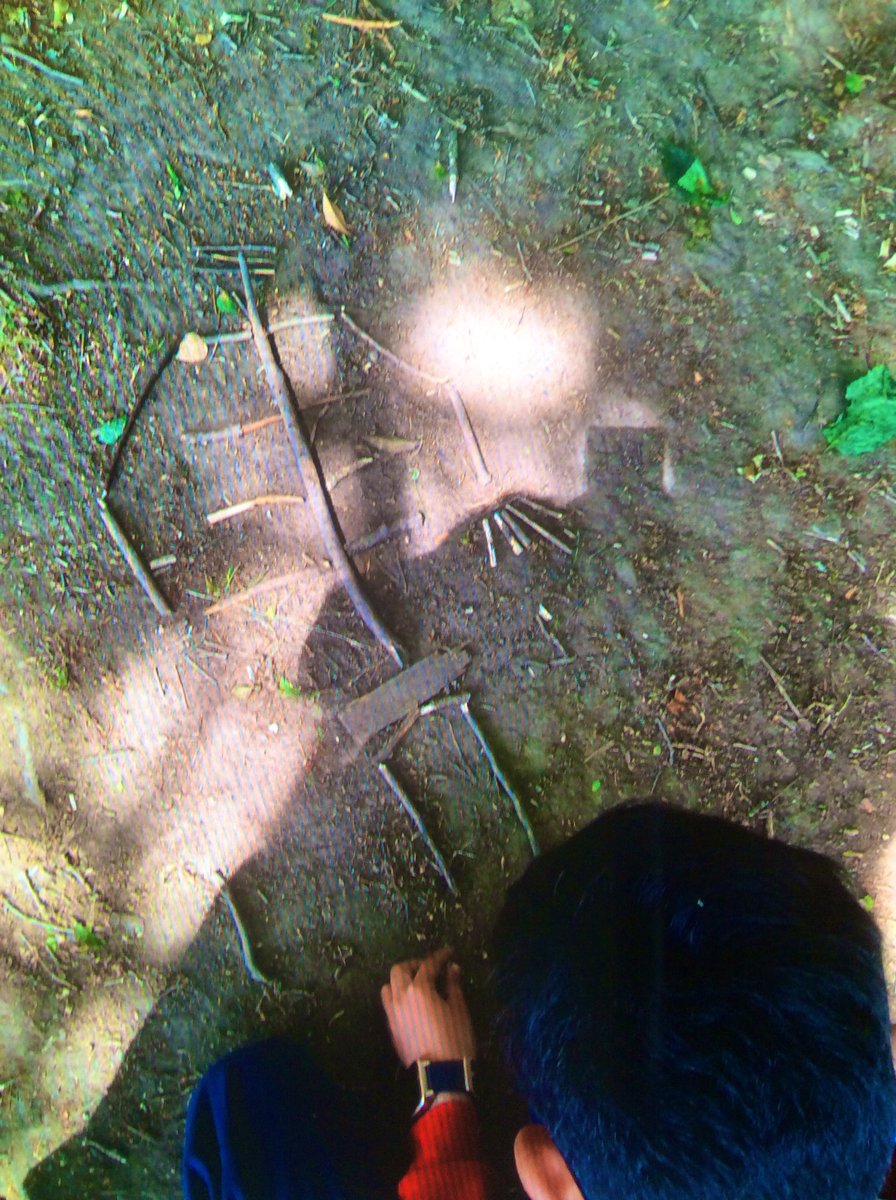 Mr Coulson’s and Mr Greatham’s classes were out at Forest School this afternoon, learning some facts about bones in the human skeleton. They then produced their own skeletons in teams, using sticks they gathered in the woods.