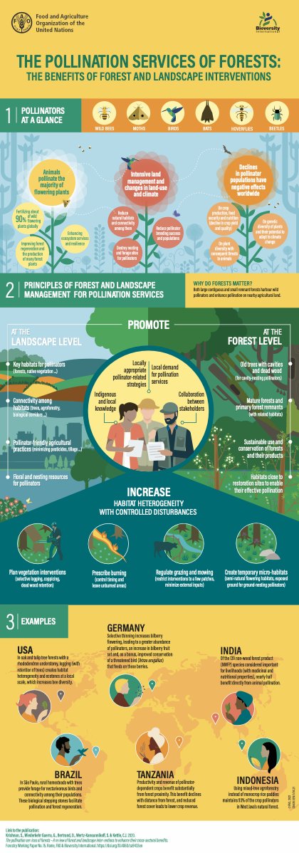 UN Biodiversity (@unbiodiversity) on Twitter photo 🌳🐝 Protecting our forests with pollination-friendly practices is a must! By prioritizing the needs of pollinators, we ensure the health of ecosystems and promote #biodiversity.
fao.org/documents/card…
Via <a href="/FAO/">Food and Agriculture Organization</a> 🌳🐝 Protecting our forests with pollination-friendly practices is a must! By prioritizing the needs of pollinators, we ensure the health of ecosystems and promote #biodiversity.
fao.org/documents/card…
Via <a href="/FAO/">Food and Agriculture Organization</a>
