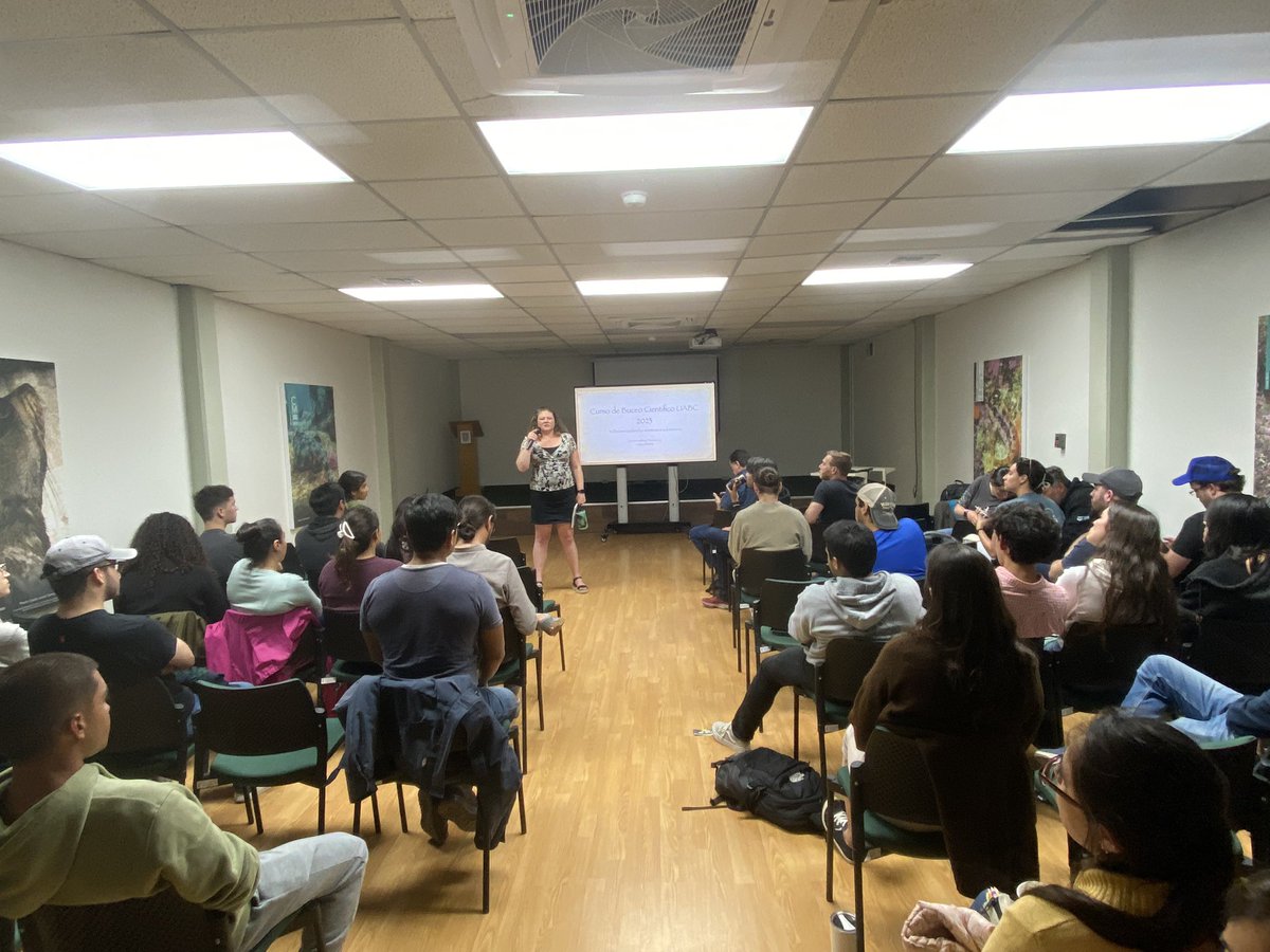 Luis Malpica Cruz tweet media