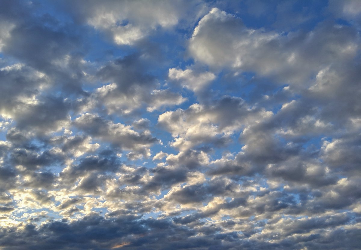 So-Fi
The Cotton Sea, 04-10-2019
Digital Photography, Google Pixel 3

#clouds #sky #nature #photography #naturephotography #photooftheday  #beautiful #love #landscapephotography #mountains #photo #cloud #picoftheday #bluesky  #naturelovers #blue #art #cloudscape #skylovers