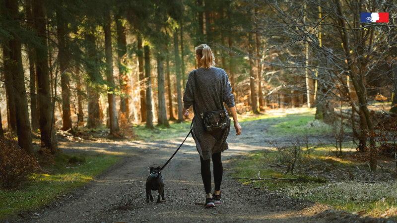 ONF_Officiel's tweet photo. 🦮🌳En #forêt, les animaux de compagnie peuvent perturber la faune sauvage, pendant la période de reproduction et des naissances au printemps.
👉Du 15/04 au 30/06, il est obligatoire de tenir son #chien en laisse en dehors des allées forestières.
Infos ➡️ https://t.co/MlhpZ3atO8 https://t.co/wdCS7zQNZm