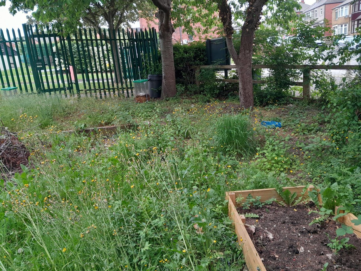 Volunteers required for Pentland School allotment clean-up! 🌱🌿

Weeding, cleaning and lots of fun. 

Mon 12 June, 11.30am - 1pm at Pentland School allotment. 

Everyone welcome, dress for the weather!