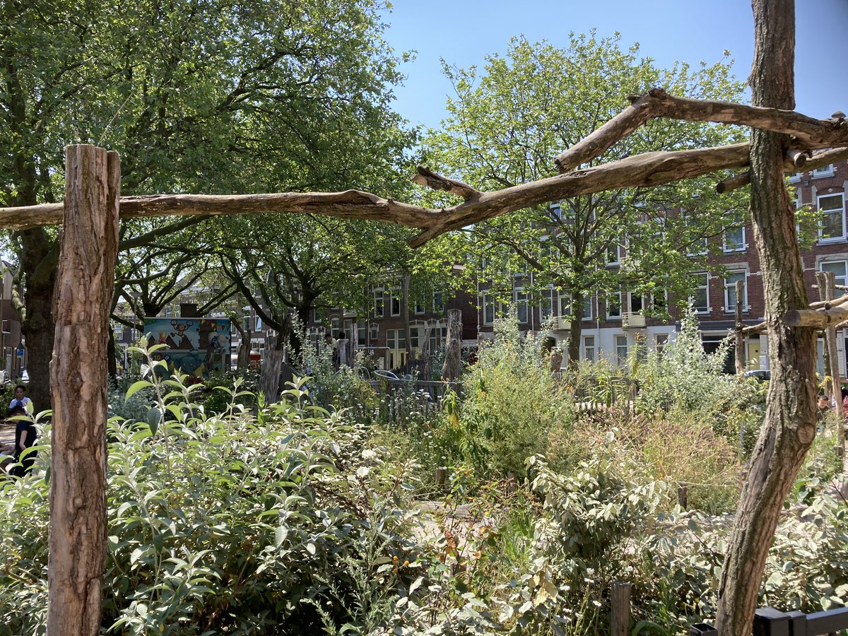 arnoudmolenaar's tweet photo. Inspireerde dag over #veerkrachtigewijken met aangrijpende verhalen van bewoners uit @BospolderT @rotterdam aangevuld met wetenschappelijke inzichten @Resilient_Delta 
gesteund door @Veldacademie en @ResilientRdam https://t.co/XTNMbKJQF7