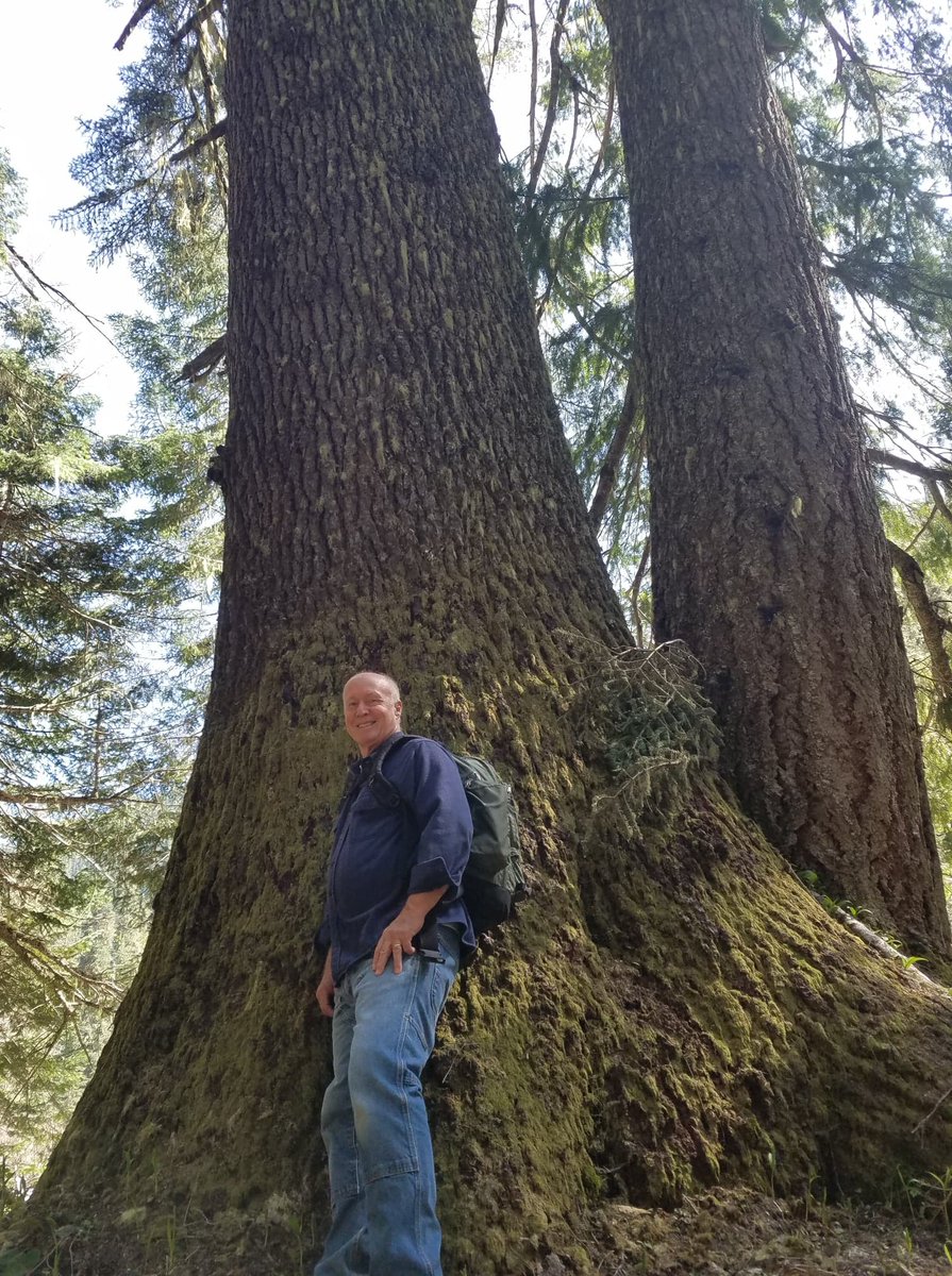 starnes2022's tweet photo. Largest noble fir on the Middle Fork Ranger District, measuring 93 inches in diameter and 219 feet in height!
https://t.co/tcppCK65IQ https://t.co/ONH8ie4hTe