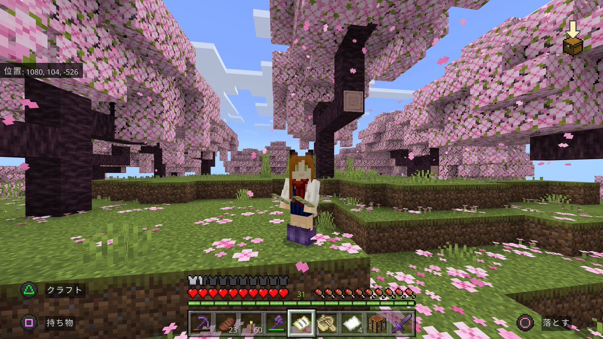 chicken_class's tweet photo. 桜バイオーム見つけて力尽きた
移動中半分寝てた https://t.co/zXuXpw4eo2