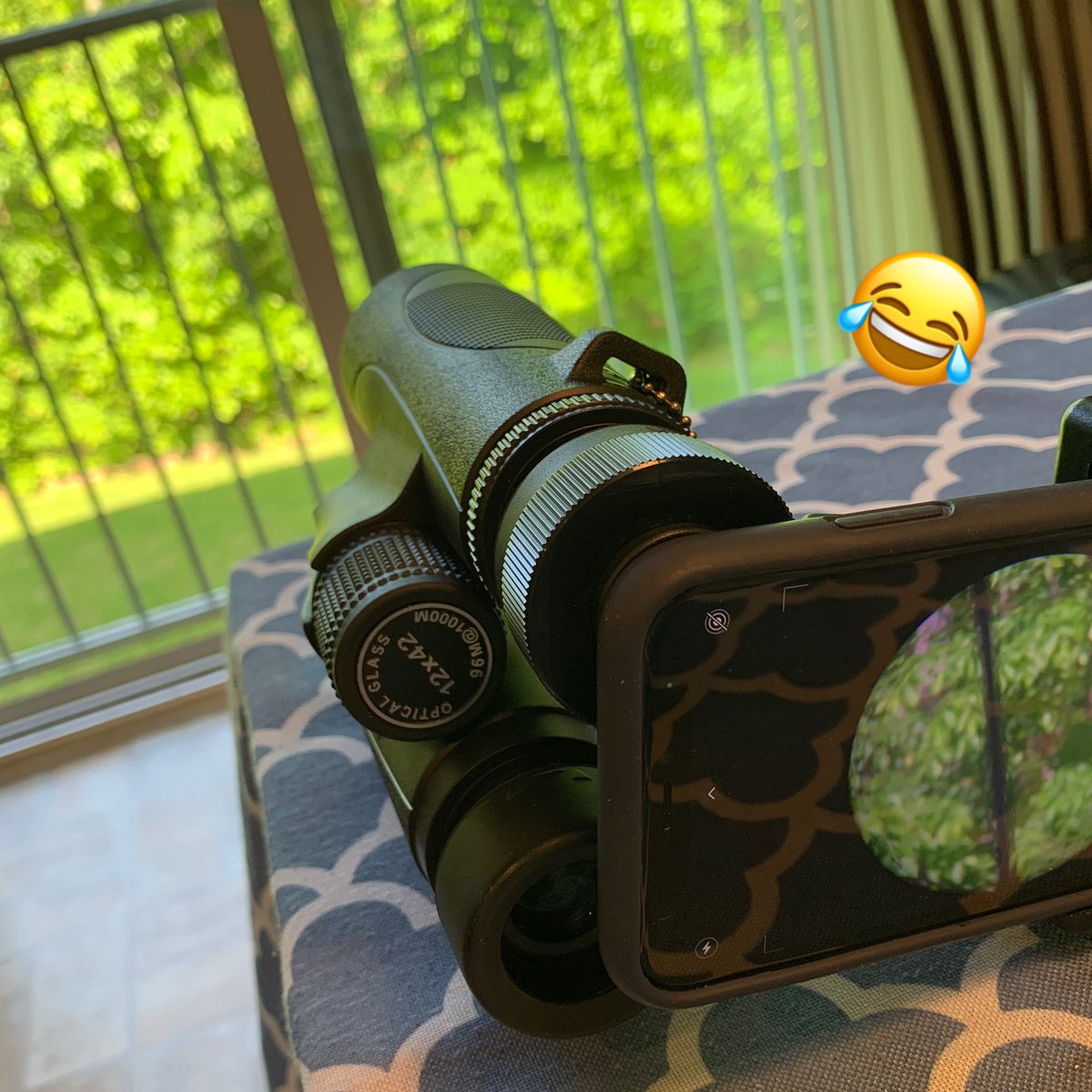 QiuChenFan's tweet photo. still amazed that 🦊 came to take naps and even let babies out during daytime. The fox parents actually have 5 babies in total🍼we saw. but when they all came out it’s too dark already outside. Clearly our observin equipment isn’t too fancy.. 😂
#animalwatching #backyardanimals https://t.co/HM7cEADTL0