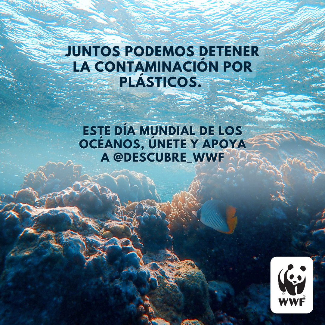 Este #DíaMundialDeLosOcéanos, queremos un futuro donde los plásticos ya no sean una amenaza. ¡Queremos océanos limpios y prósperos para las personas y la vida silvestre!