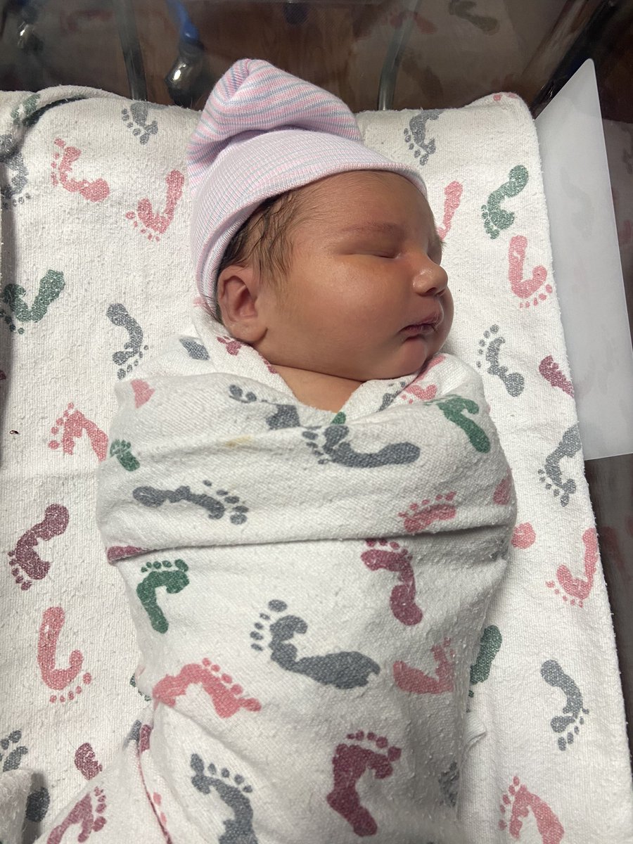 Brady Roper tweet media