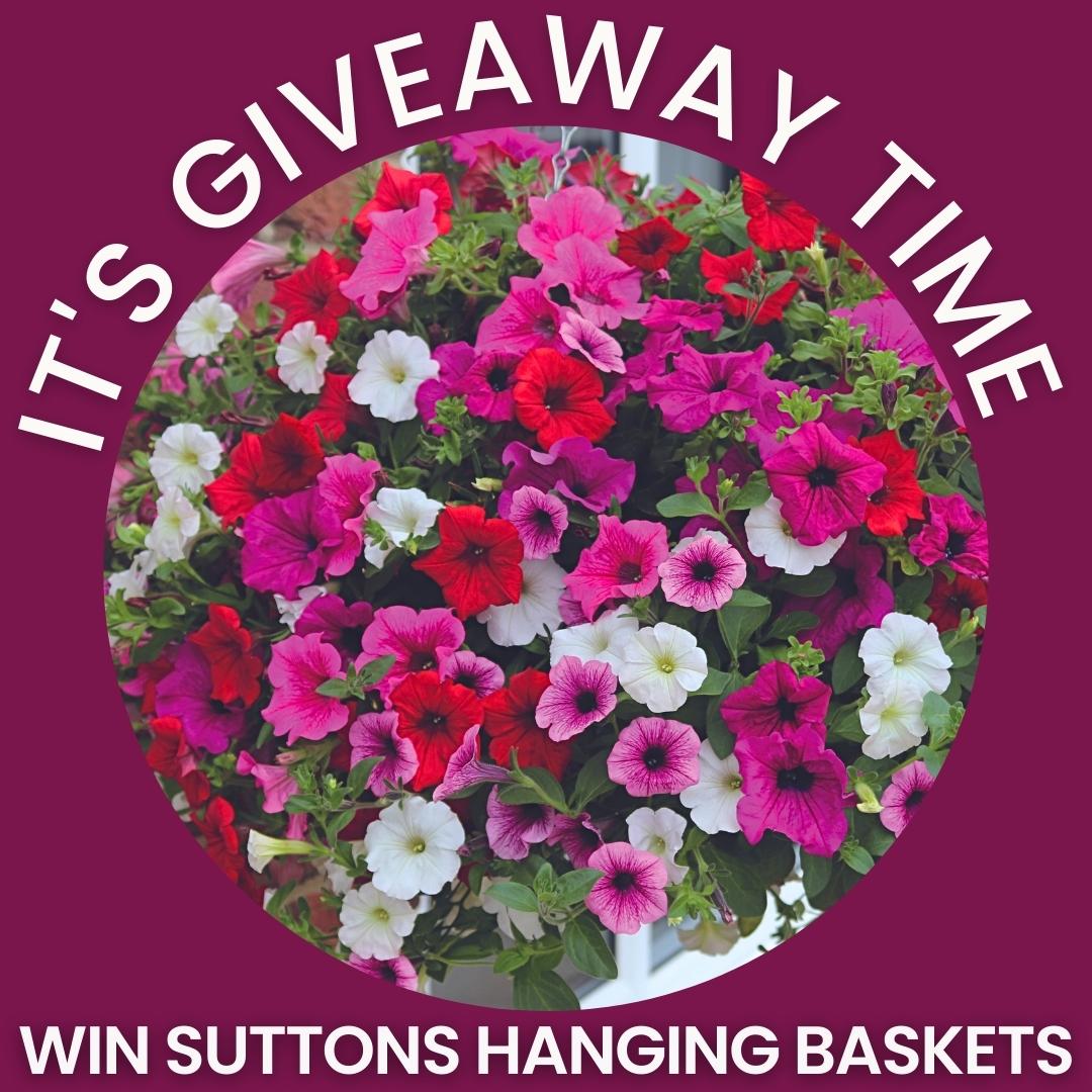 Suttons on Twitter "🌸WIN a preplanted hanging basket from Suttons🌸